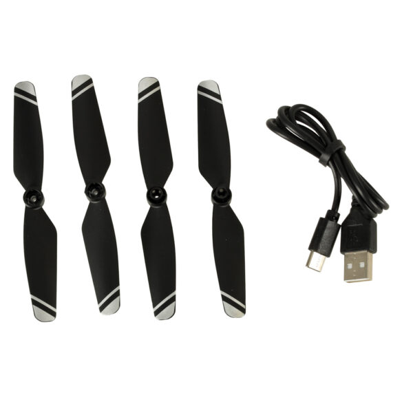 KX405197858 KX405197858