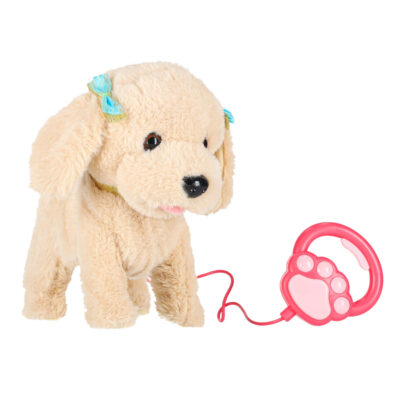 Interactive dog on leash barks walks wiggles tail Poodle