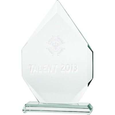 3D engraved glass trophy with case