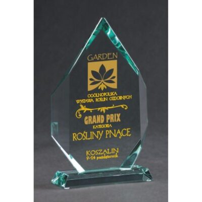 Engraved glass trophy with case + paint filling