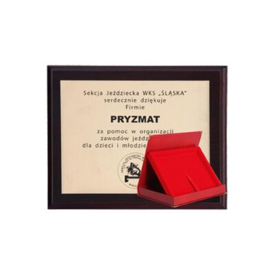 Plastic diploma with laminate engraving + case 355x300 mm