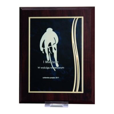 Plastic diploma with metal plate engraved