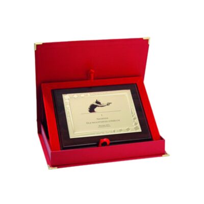 Plastic diploma with metal plate engraved + case