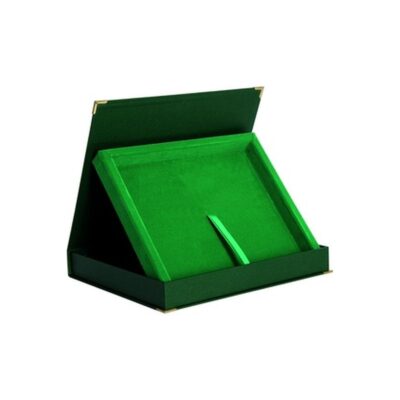 Green horizontal plastic case - for board 305x230