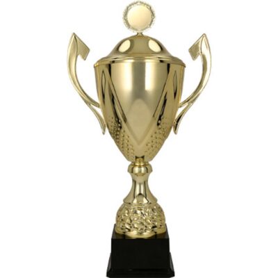 Чашка с крышкой DARKA