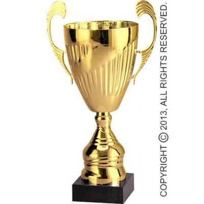 Золотая металлическая чашка T-M 7098D