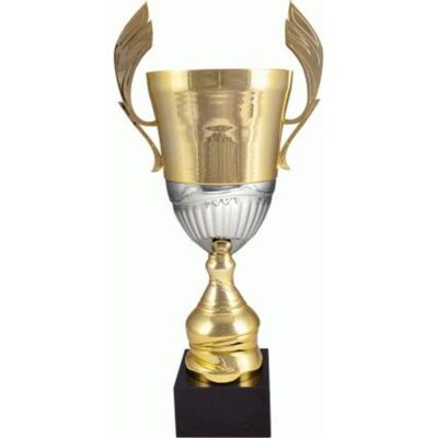 Gold and silver metal cup 4128D
