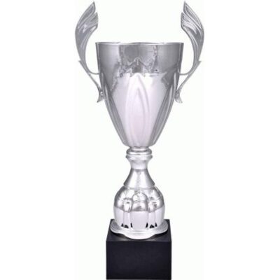 Silver metal cup 4127E