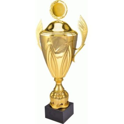 Золотая металлическая чашка с крышкой 4126/FP