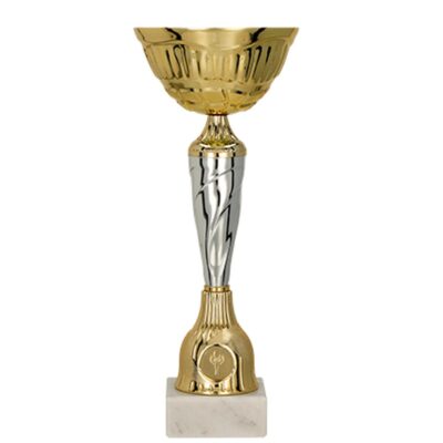 Золотая и серебряная металлическая чашка