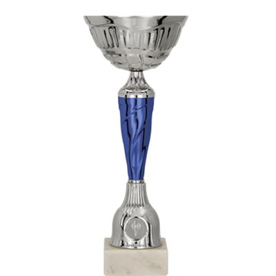 Silver-blue metal cup
