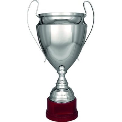T-S silver metal cup