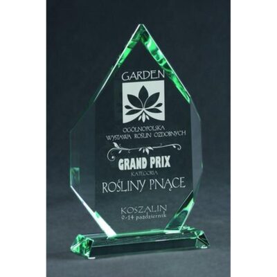 Engraved glass trophy with case