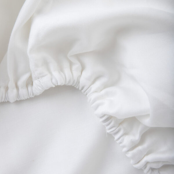 5904183855387_2 5904183855387_2