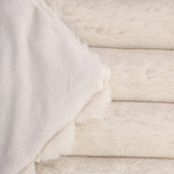 5904183856186_3 5904183856186_3