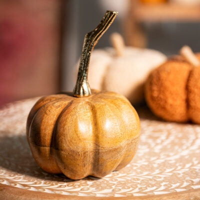 Тыква | ABBOU | дерево манго | 19x12x12 | 864396