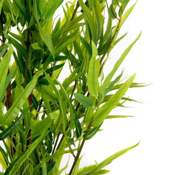 5904183877921_2 5904183877921_2