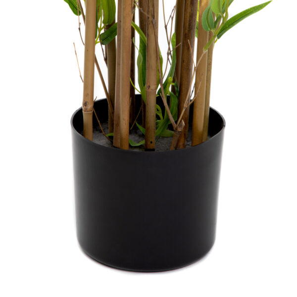 5904183877921_3 5904183877921_3