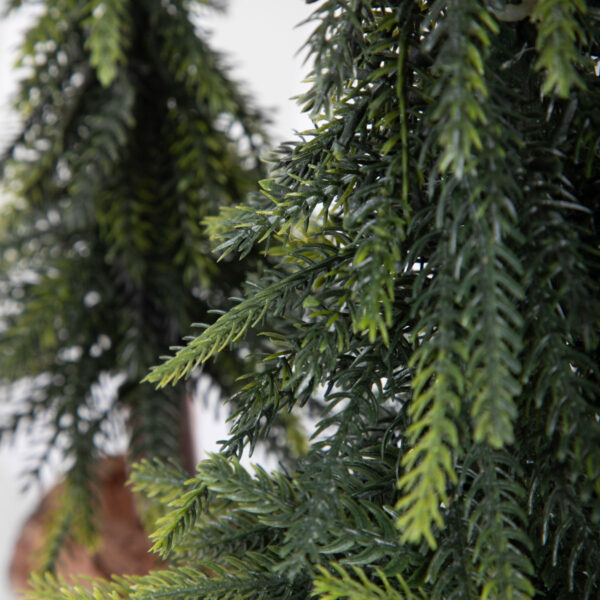 5906496713682_3 5906496713682_3