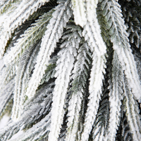 5906496713712_3 5906496713712_3