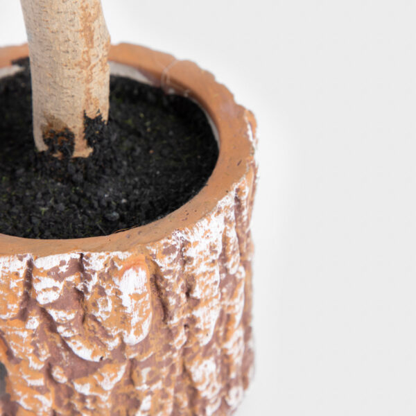 5906496714399_2 5906496714399_2