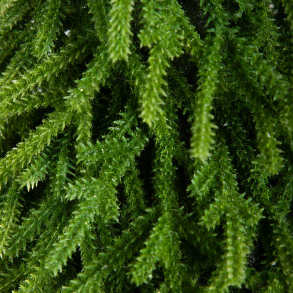 5906496714399_3 5906496714399_3