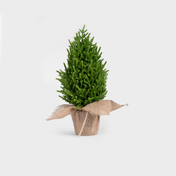 5906496714405_1 5906496714405_1