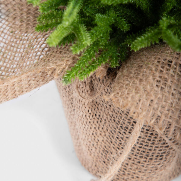 5906496714405_2 5906496714405_2