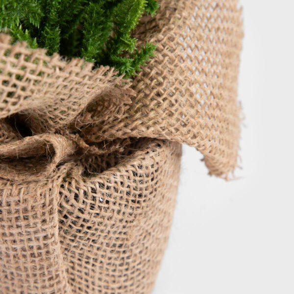 5906496714450_2 5906496714450_2