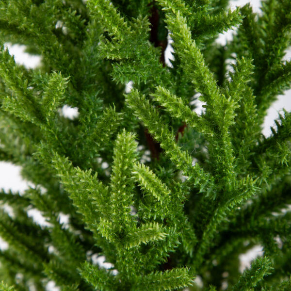 5906496714450_3 5906496714450_3