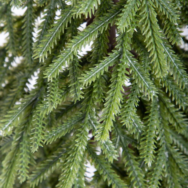 5906496715488_3 5906496715488_3