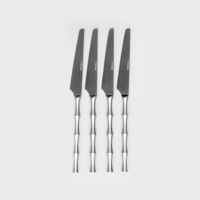 Set of knives | NINGBO | matt silver | 4 pcs. | 723346