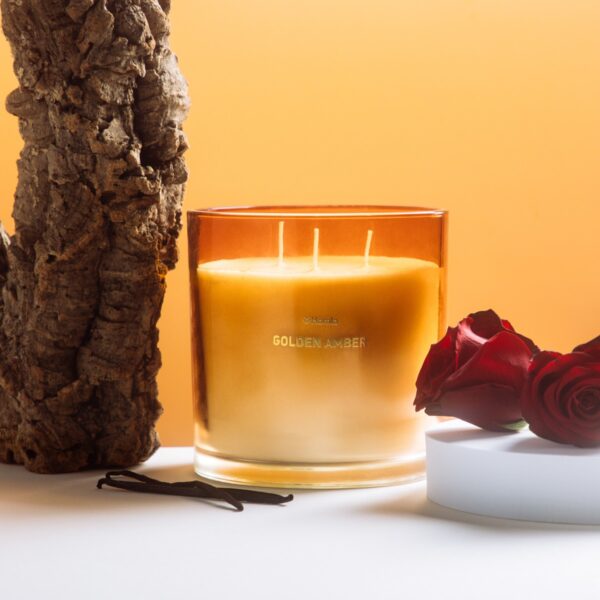 5906496740121_w 5906496740121_w