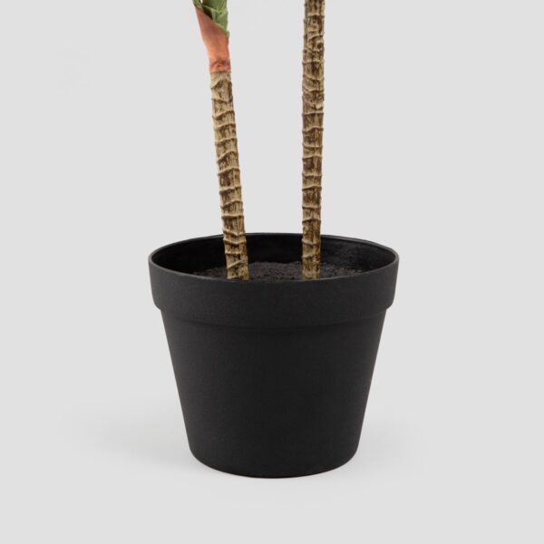 5906496740596_3 5906496740596_3