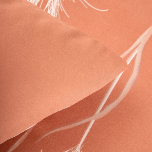 5906496755934_5 5906496755934_5