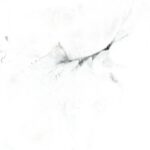 7005e5bd8af061b679d4c1f534cb1a0c