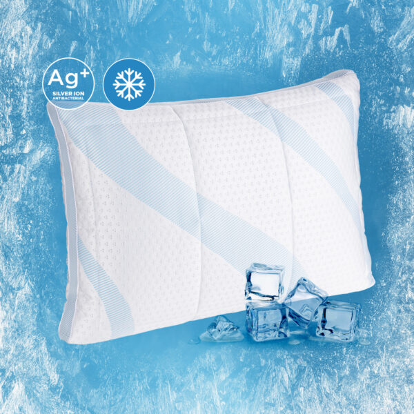 24230_PS01_V282 24230_PS01_V282