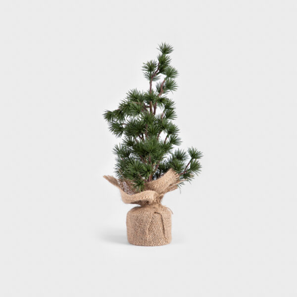 5906496705656_1 5906496705656_1