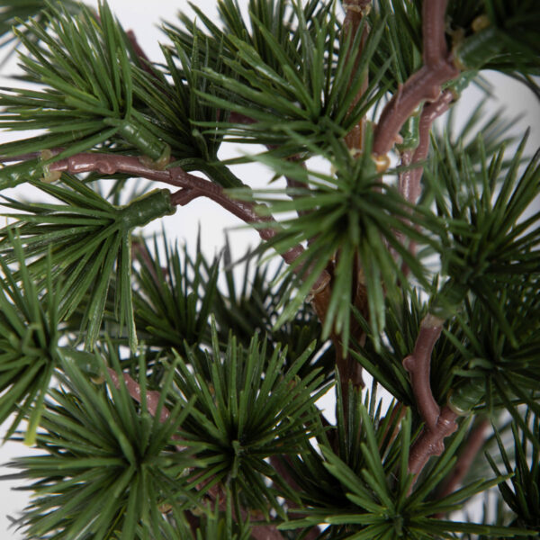 5906496705656_3 5906496705656_3