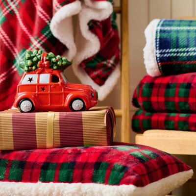 Auto | SANSA | with Christmas tree and LED | 19 x 11 x 14.5 cm | XM24 | | 714795