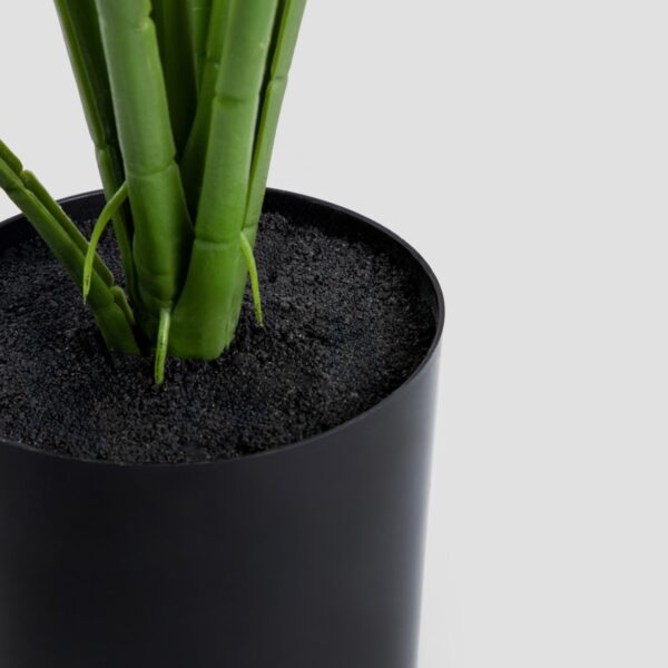 5906496730641_3 5906496730641_3