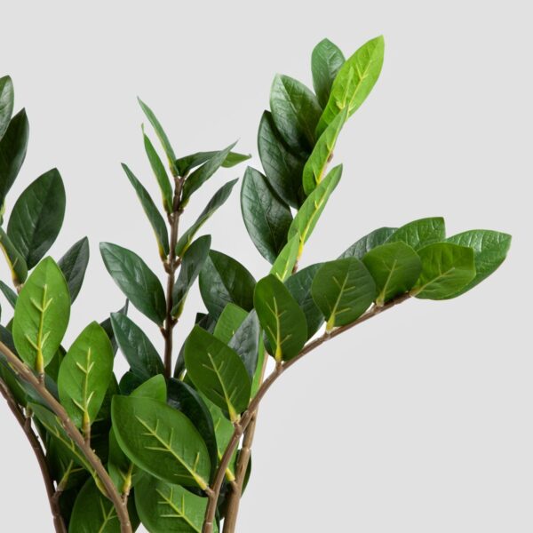 5906496730658_2 5906496730658_2