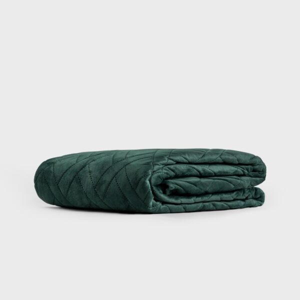 5906496745584_2 5906496745584_2