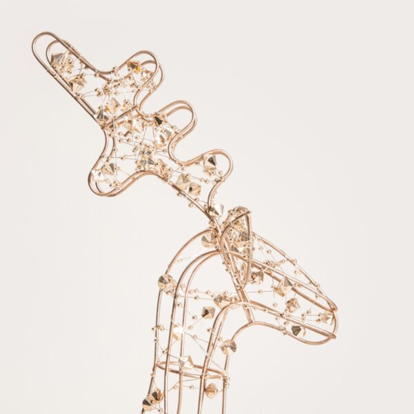 5906496754531_3 5906496754531_3