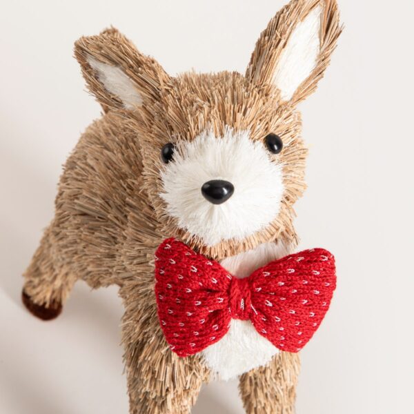 5906496754692_3 5906496754692_3