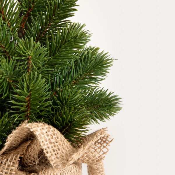 5906496754869_2 5906496754869_2