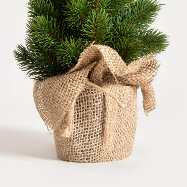 5906496754869_3 5906496754869_3