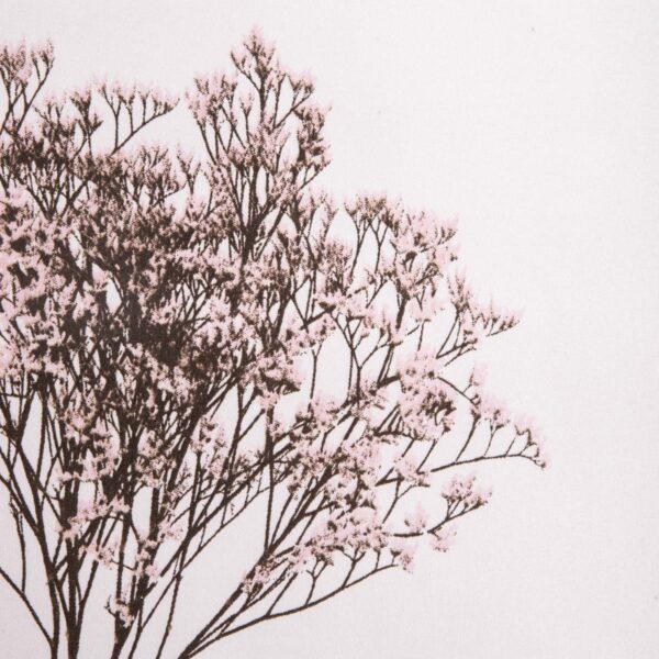 5906496755422_2 5906496755422_2