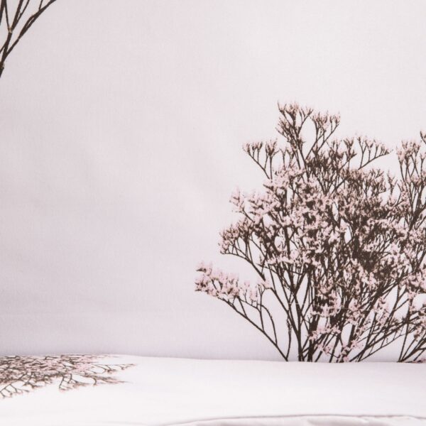 5906496755422_3 5906496755422_3