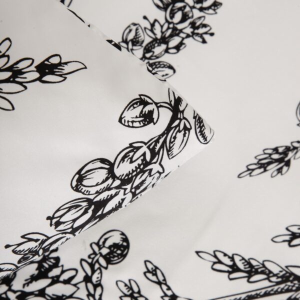 5906496755484_5 5906496755484_5